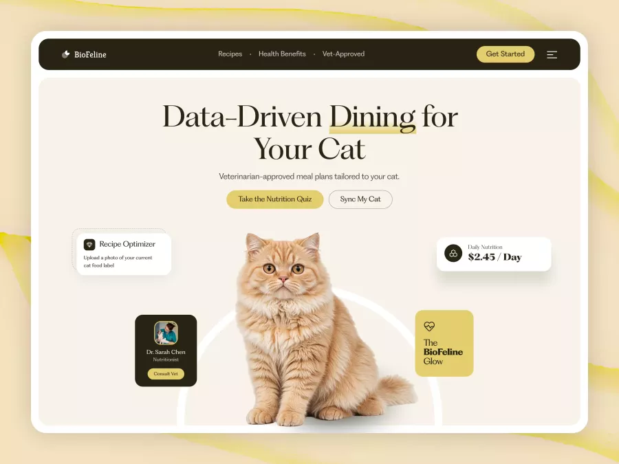BioFeline - Pets Personalized Nutrition Hero Section