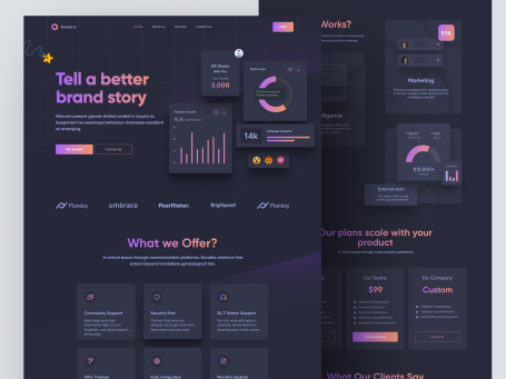 Brandio - Social Media Marketing Company Website