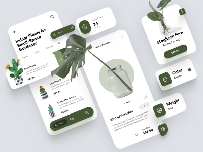 Indoor Plants - Ecommerce App Design