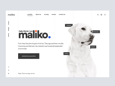 Maliko - Freelancer landing page UI Hero Section
