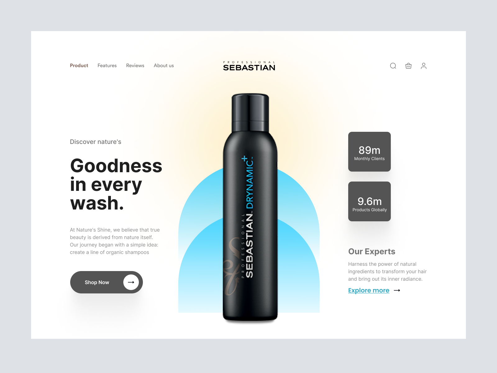 Shopify Store - Header