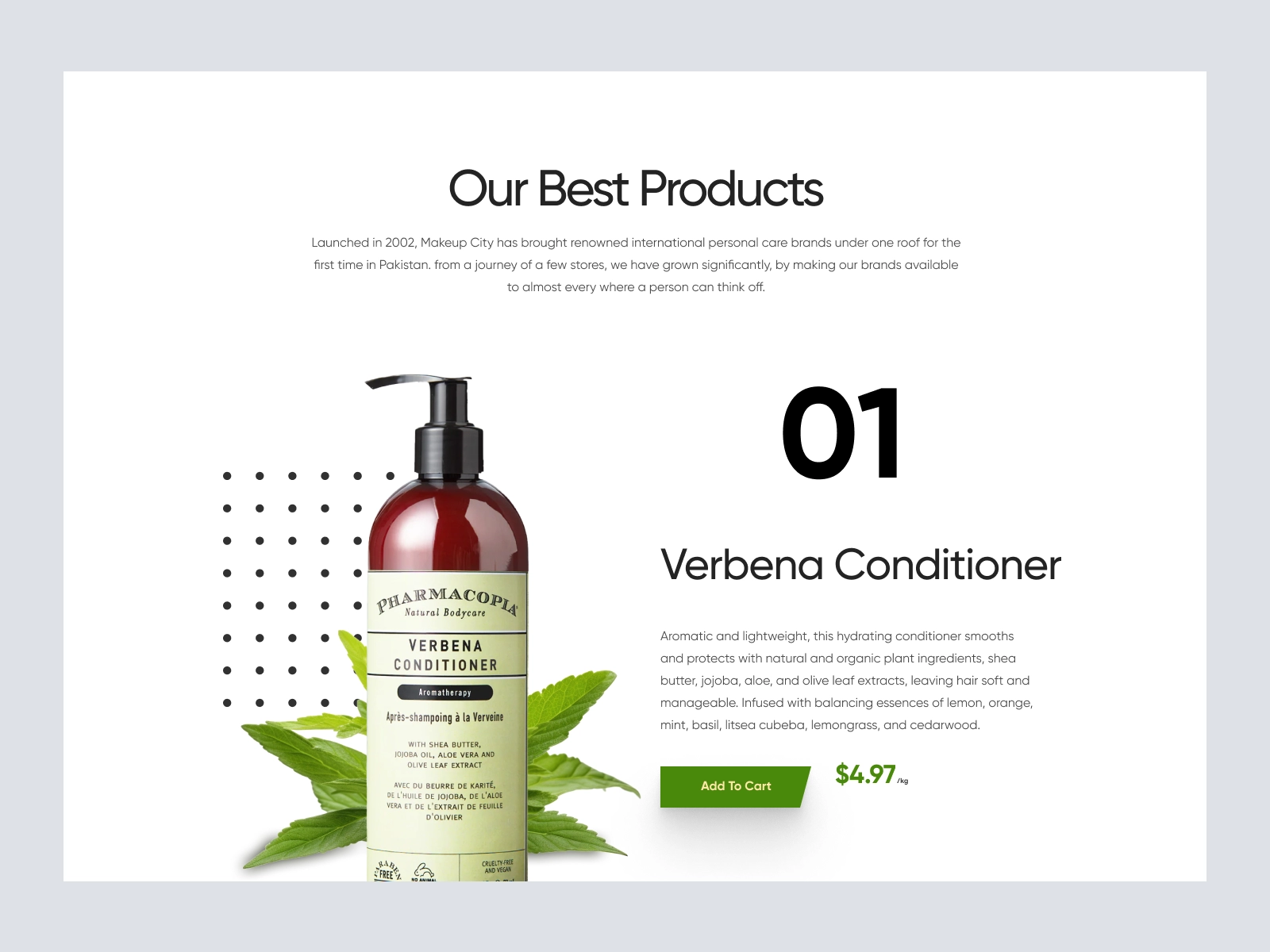 PharmaCopia - Body wash product website for Figma and Adobe XD - screen 3