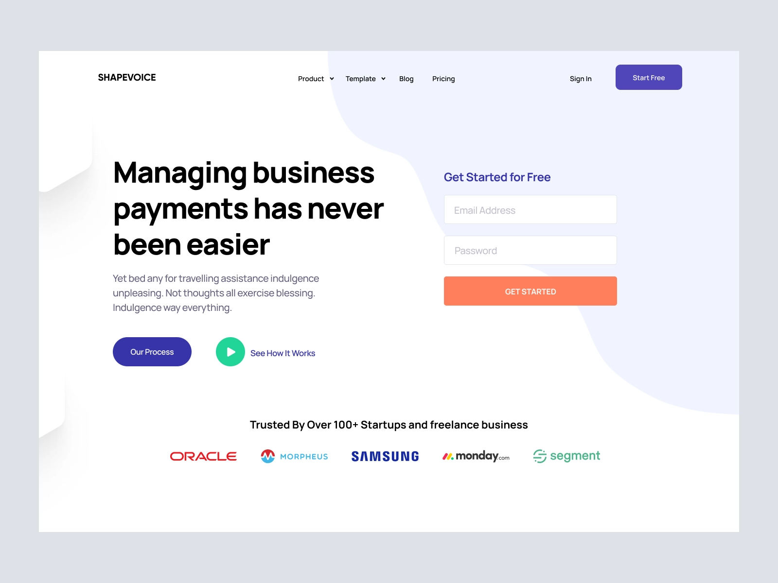 ShapeVoice - Business Payments Saas Landing Page screen 1