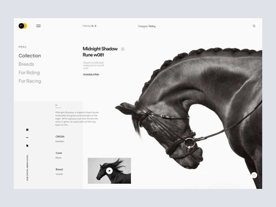 Download Ghora - Horse riding and selling website for Figma and Adobe XD
