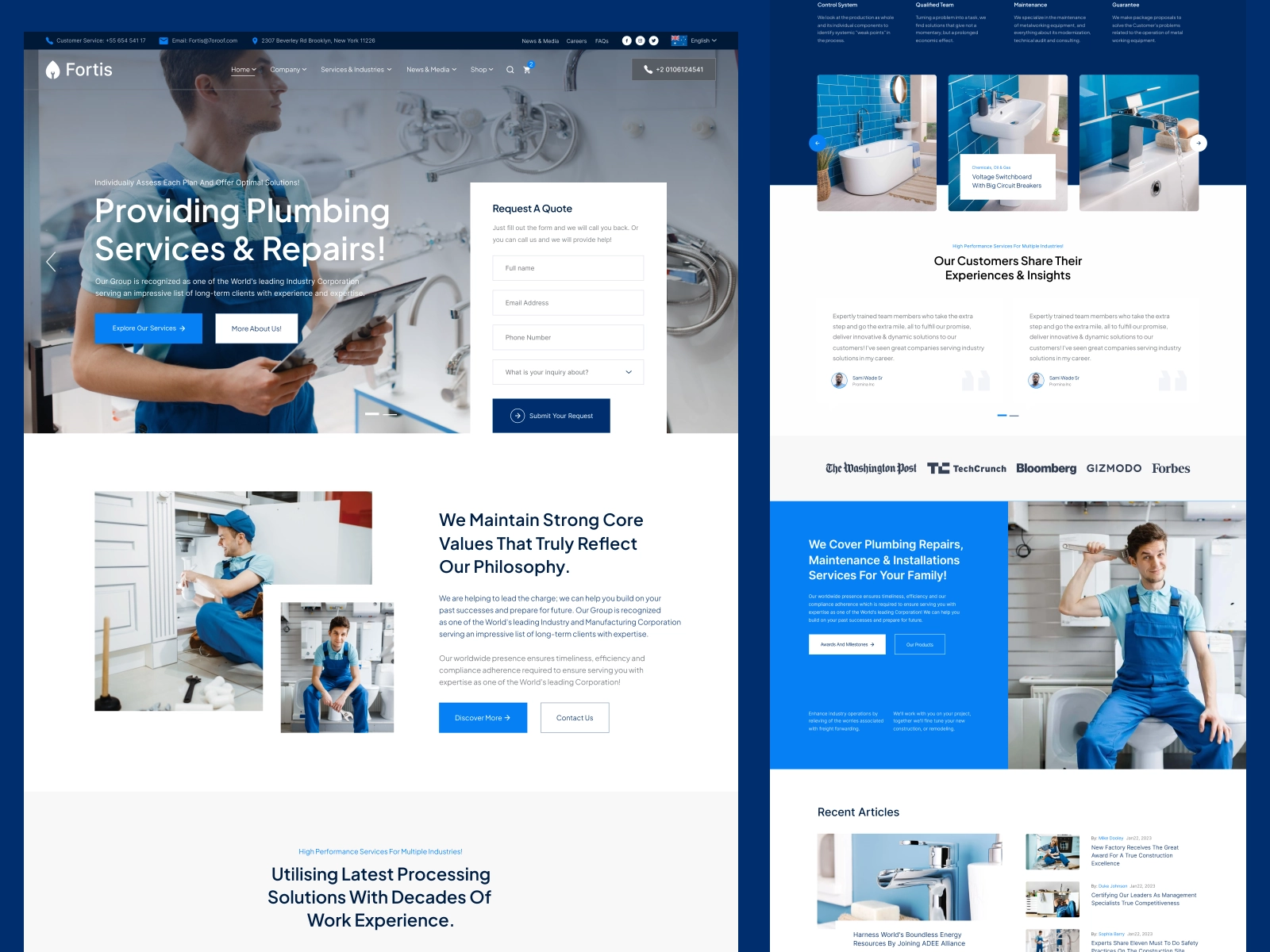 Fortis Plumber Landing Page Design