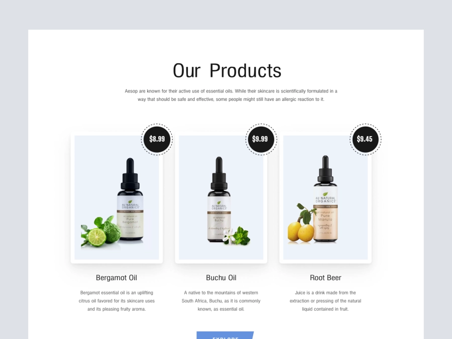 Download Beauty Product Palo Santo Website Design - Products for Figma and Adobe XD
