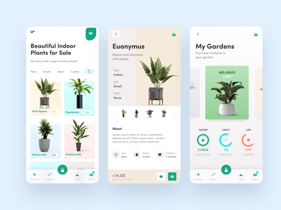 Download Indoor Plants App Design for Figma and Adobe XD